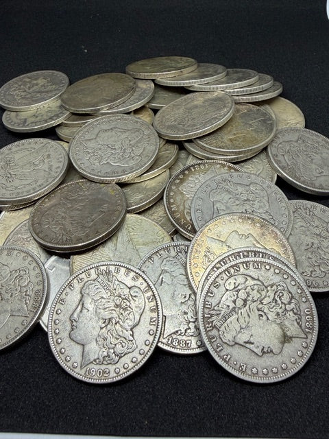 Morgan / Peace Silver Dollar Loose